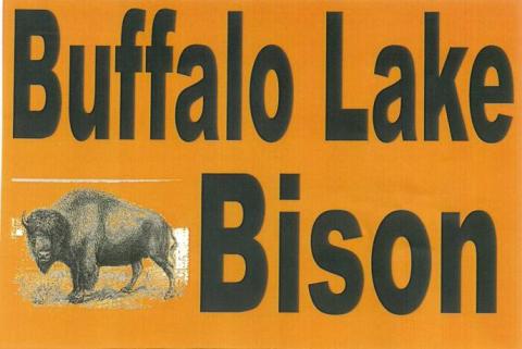Buffalo Lake Bison