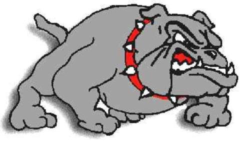 Appleton City Bulldogs