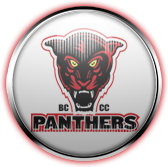 Baltimore City Community College Panthers