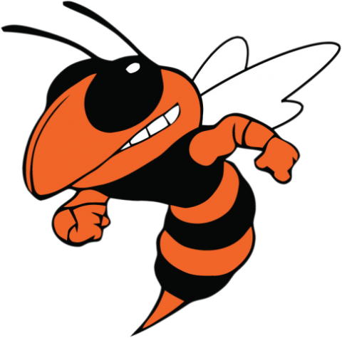 Beech Grove Hornets