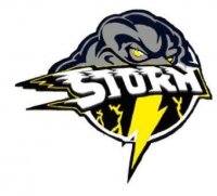 Stephen-Argyle Central Storm | MascotDB.com