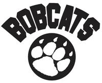 Bryant & Stratton College Bobcats | MascotDB.com