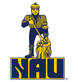 Sweat à capuche NAU Lumberjacks petit noir Northern Arizona