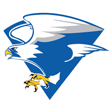 North Forney Falcons | MascotDB.com