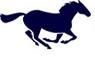 San Dieguito Academy Mustangs