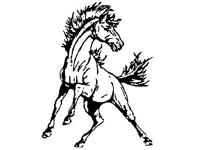 Sylvan-Lucas Unified Mustangs