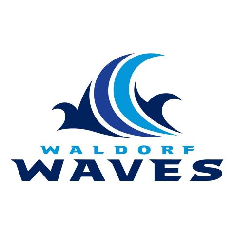 Sacramento Waldorf Waves