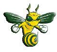 Aiken Fighting Green Hornets