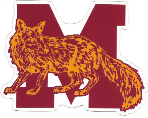 Marion Swamp Foxes