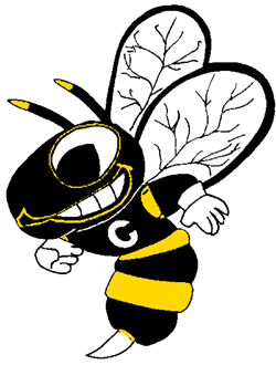 Cadott Hornettes