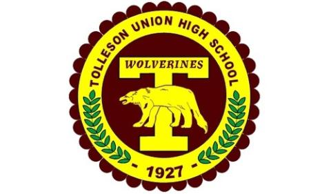 Tolleson Union Wolverines