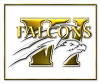 Winchester Golden Falcons