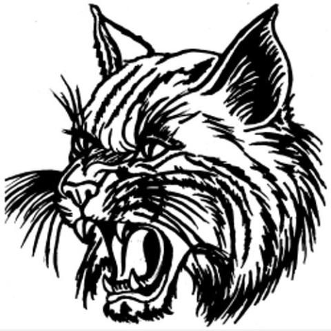 Thayer Bobcats