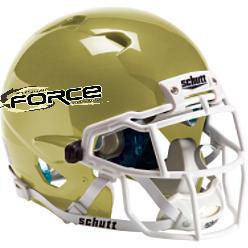 Pittsburgh Force
