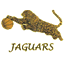 Round Rock Jaguars