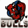 Montgomery County Bulls