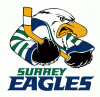 Surrey Eagles
