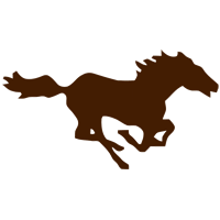 Southwest State University Mustangs