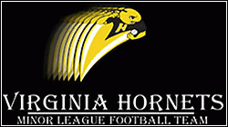 Virginia Hornets