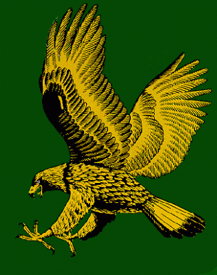 Salt Lake Golden Eagles