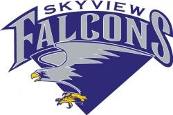 Billings Skyview Falcons