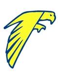 Foothill Falcons