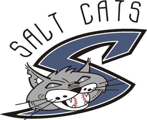 Syracuse Salt Cats