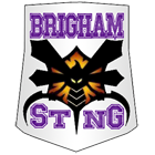 Brigham Sting