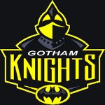 Gotham City Knights