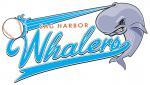 Sag Harbor Whalers