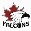 Coldwater Falcons