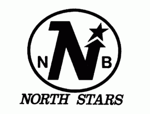 Battlefords North Stars