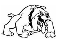 Anderson County Bulldogs
