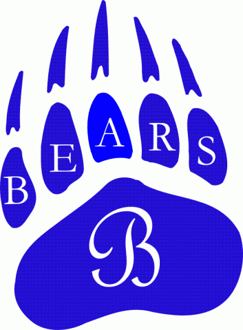 Bolton Bears