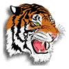 Sports & Medical Sciences Academy Tigers
