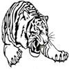Windham Tech Mighty Tigers