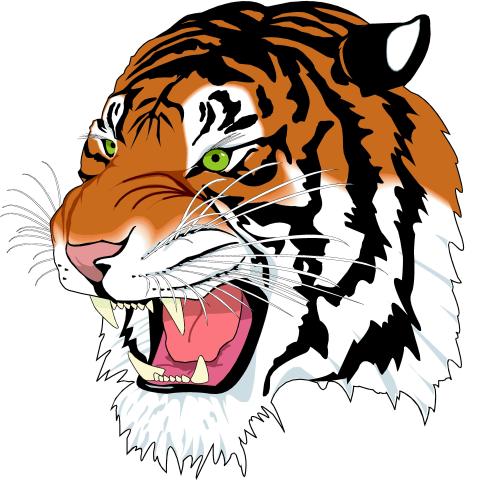 Carthage Tigers