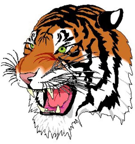 Hancock Tigers