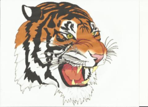 Wellsville Tigers