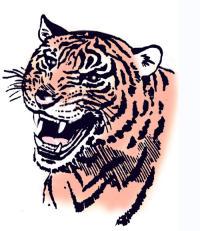 El Paso Tigers