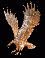 Fennimore Golden Eagles