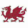 Glenelg Country Dragons