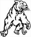 South Bend Washington Panthers