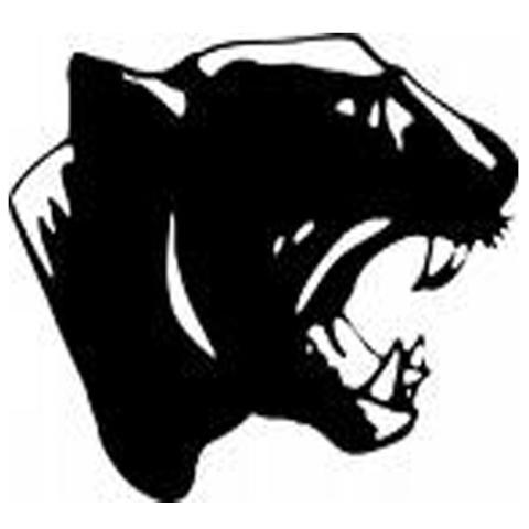 Grundy County Panthers