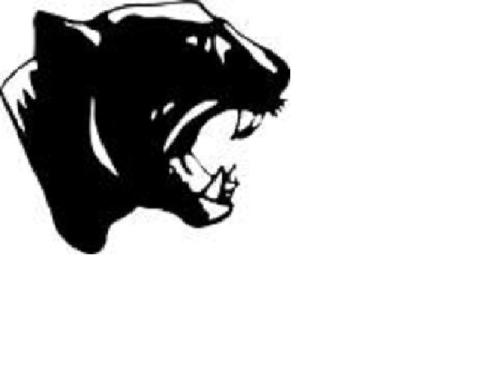 Mound City Panthers