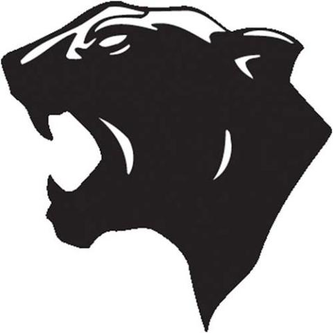 Pattonsburg Panthers