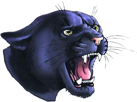 Oconto Falls Panthers