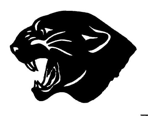 Pembine Panthers