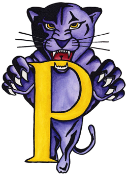 Pittsville Panthers
