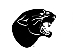 Stevens Point Area Panthers